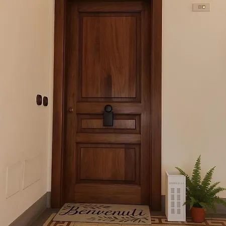 Tourist 34537 In The Historic Center