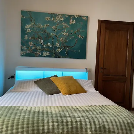 Tourist 34537 In The Historic Center