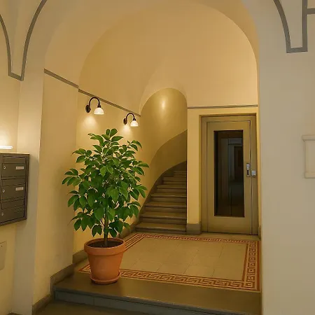 Tourist 34537 In The Historic Center